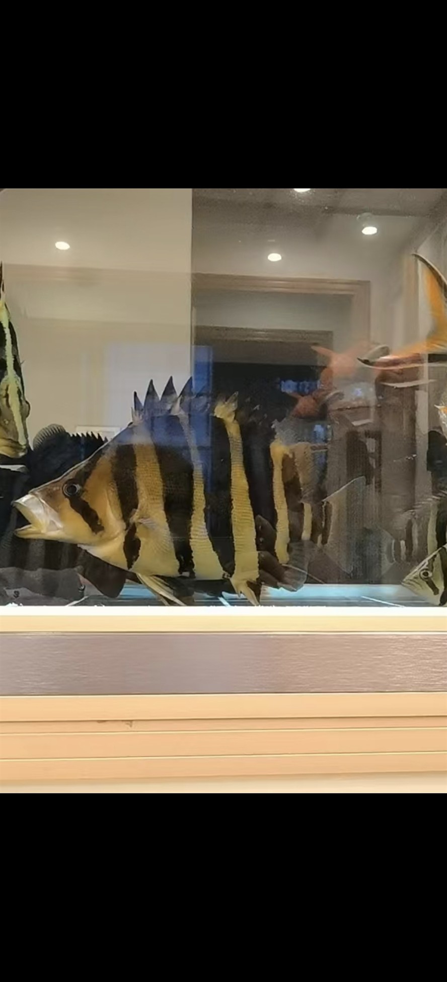 差點意思