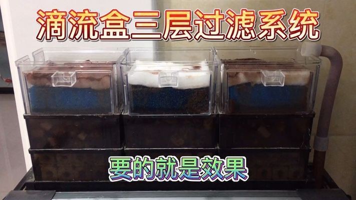 靖童魚缸，靖童魚缸怎么樣？