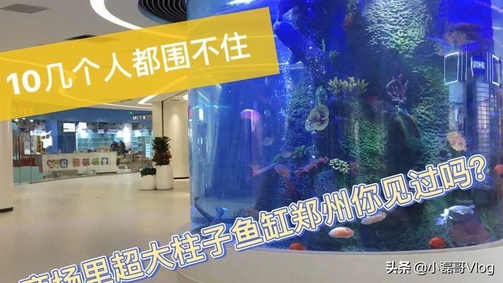 靖童魚缸，靖童魚缸怎么樣？