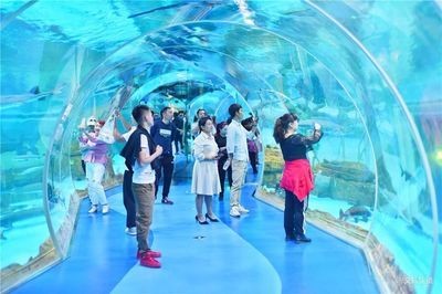 普洱水族館vs祥龍魚場（普洱水族館與祥龍魚場各有特色）