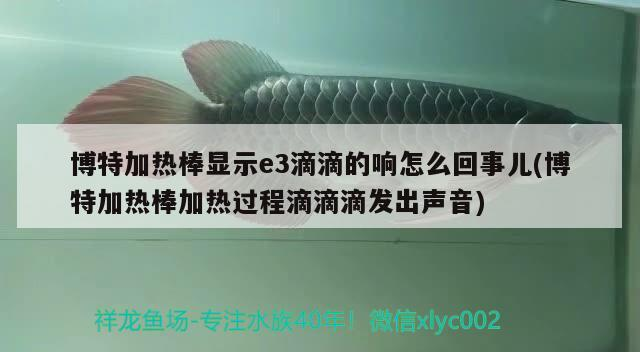 博特加熱棒顯示e3滴滴的響怎么回事兒(博特加熱棒加熱過程滴滴滴發(fā)出聲音)