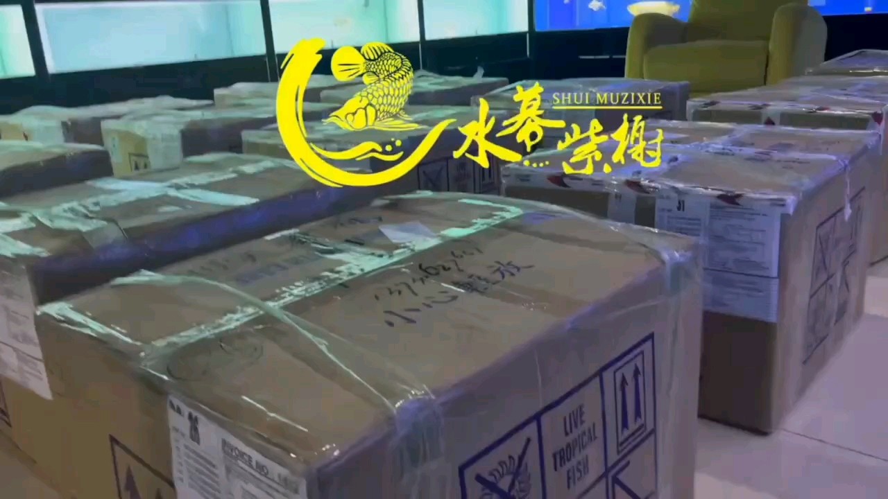 不懼摩羯