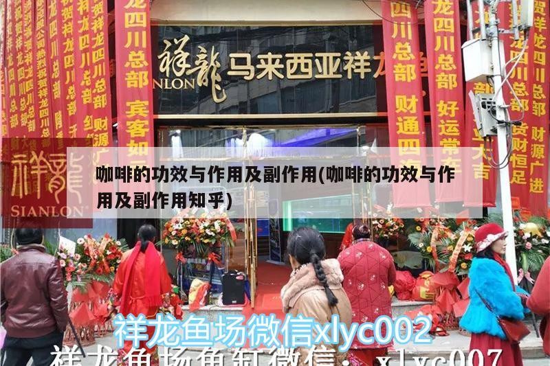 龍魚黑鱗立鱗病能治愈嗎，龍魚黑鱗和立鱗病在早期發(fā)現并及時干預并及時干預
