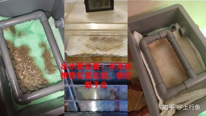 森森魚缸過濾材料擺放順序