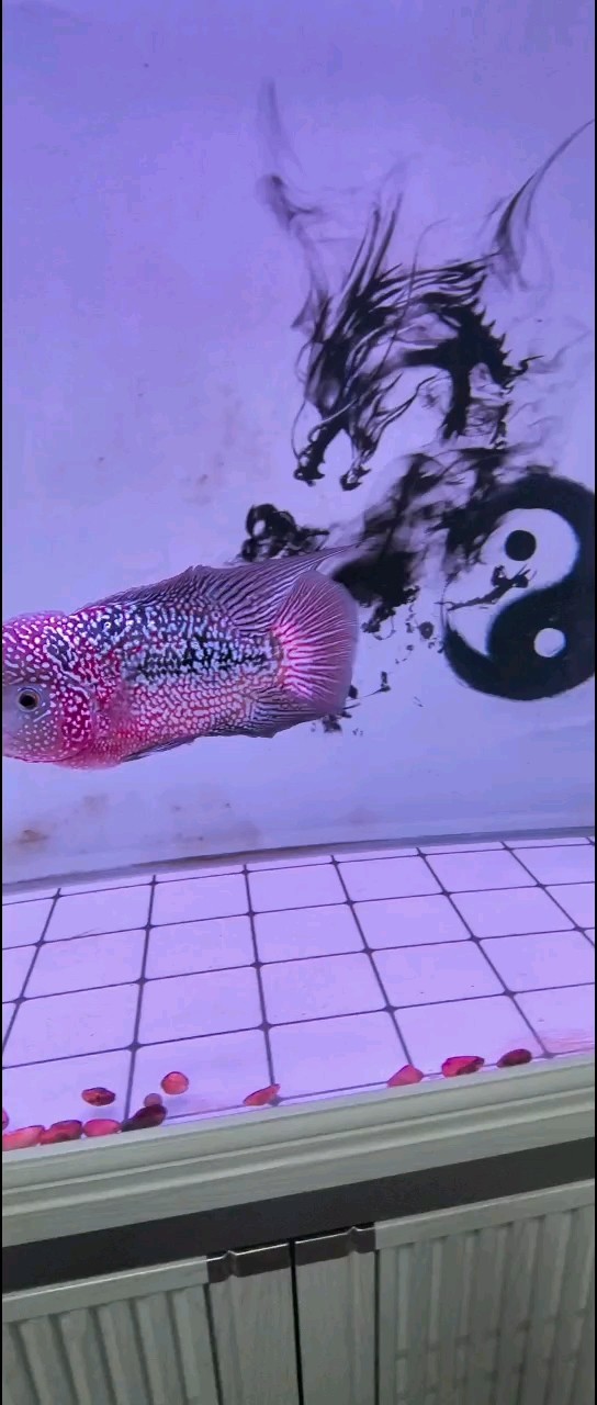親們幫我看看