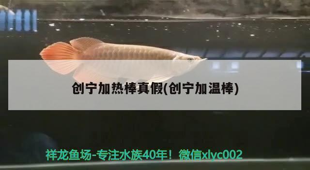 創寧加熱棒真假(創寧加溫棒)