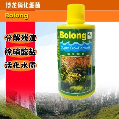 博龍魚缸怎么樣，博龍魚缸是一個值得考慮的選擇，