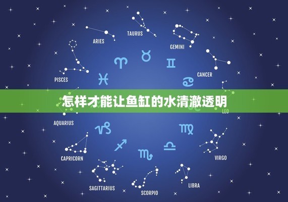 博特水泵官網（博特水泵官網旗艦店）