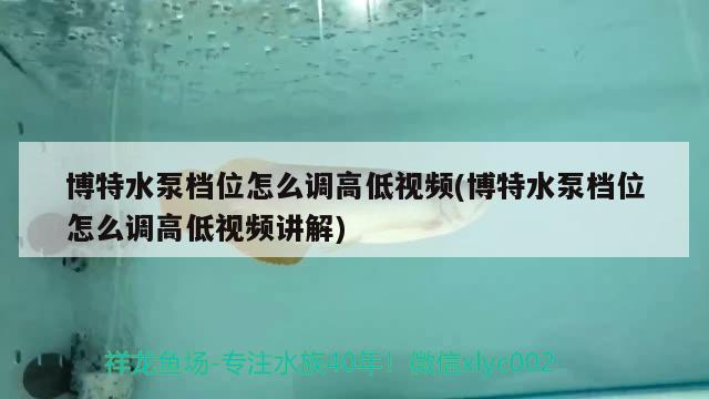 博特水泵檔位怎么調(diào)高低視頻(博特水泵檔位怎么調(diào)高低視頻講解)