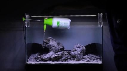 35魚缸造景買什么：魚缸造景基本步驟
