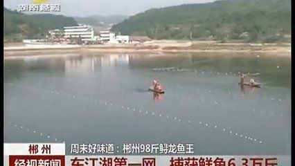 郴州龍魚vs祥龍魚場（探討郴州龍魚與祥龍魚場的差異之前，我們需要明確兩者所代表內(nèi)容） 郴州龍魚vs祥龍魚場（探討郴州龍魚與祥龍魚場的差異之前，我們需要明確兩者所代表內(nèi)容） 全國水族館企業(yè)名錄 第3張
