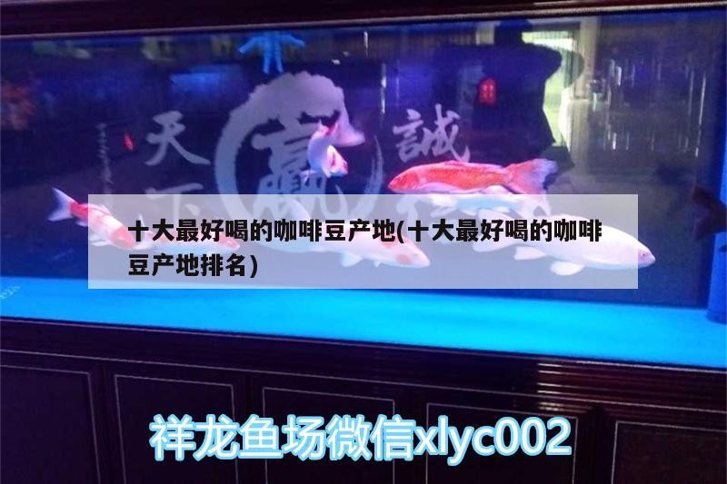 十大最好喝的咖啡豆產地(十大最好喝的咖啡豆產地排名)