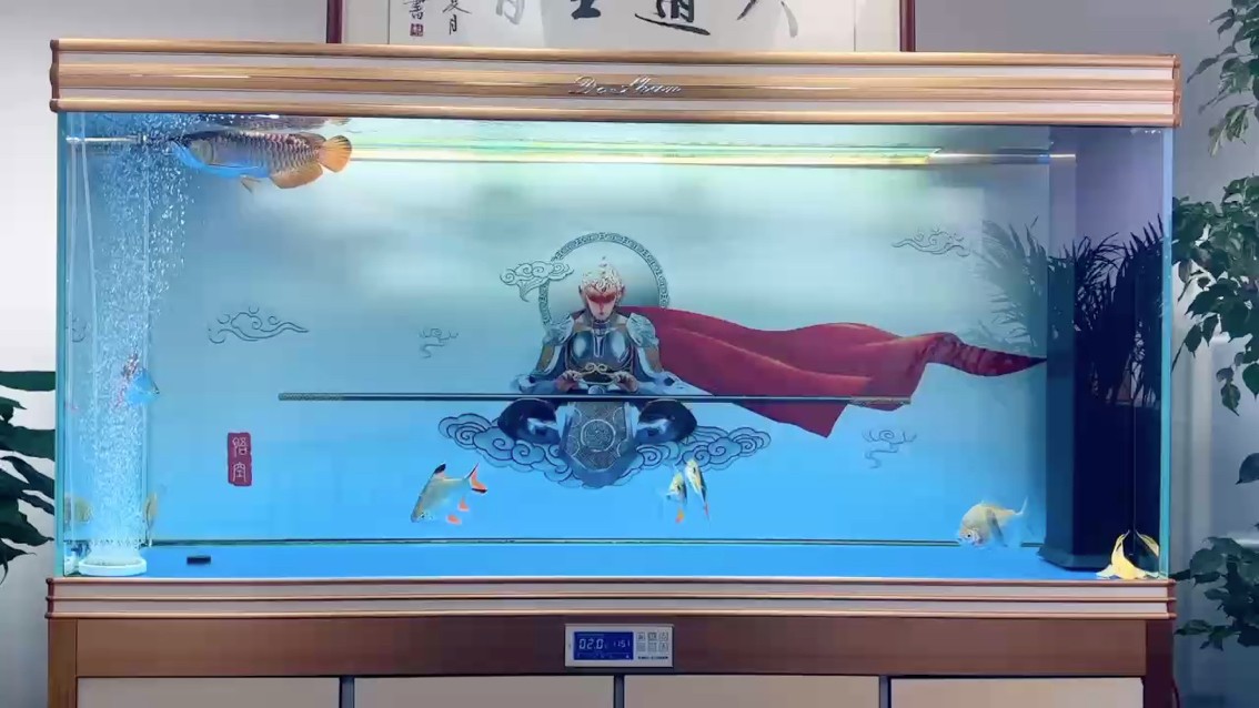 給大魚缸換水的作文:體驗給大魚缸換水的樂趣:體驗給大魚缸換水:給大魚缸換水的作文 何以解憂 唯有養魚 龍魚論壇 何以解憂 唯有養魚 何以解憂 唯有養魚 龍魚論壇