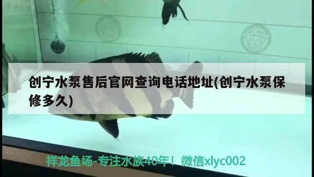 創寧水泵售后官網查詢電話地址(創寧水泵保修多久)