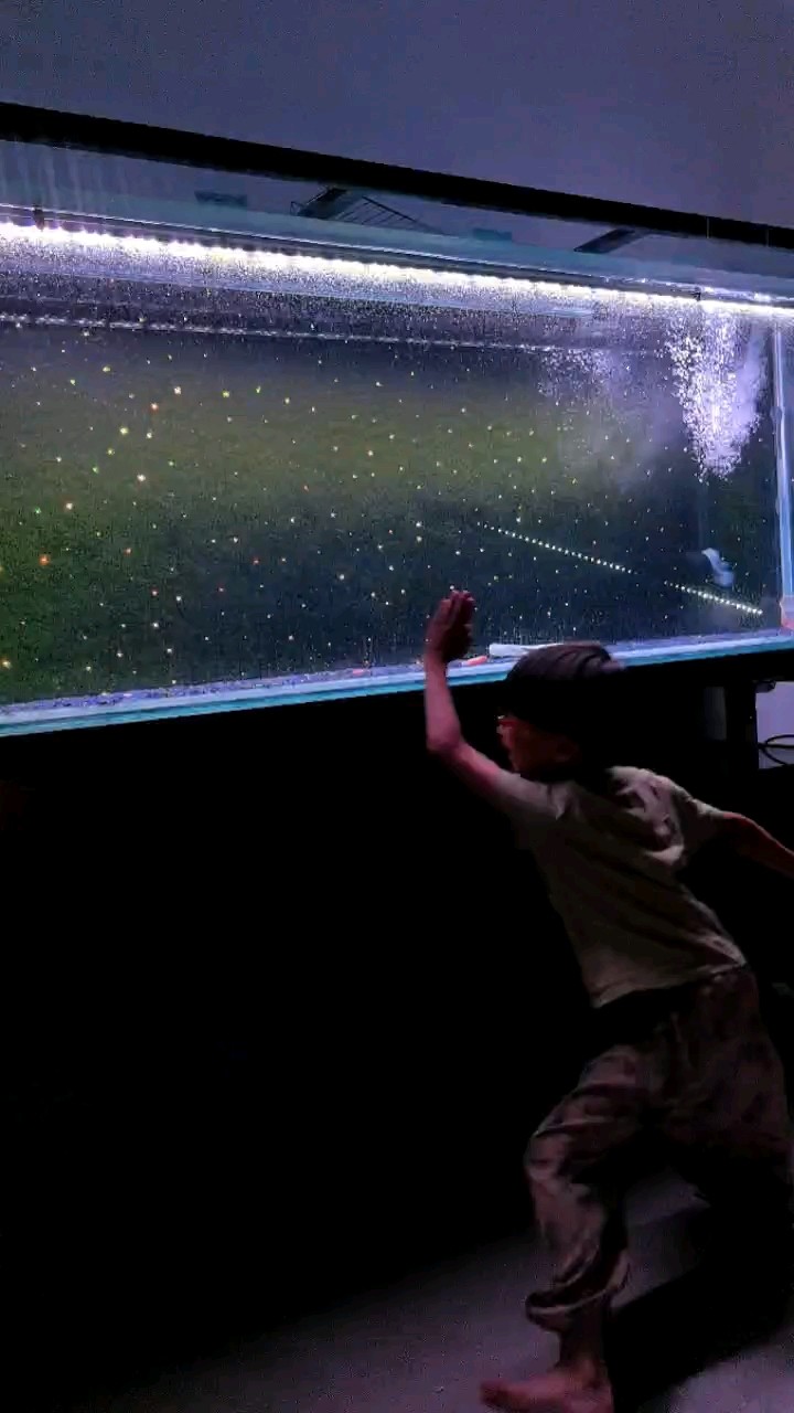 替魚的精神狀態擔憂