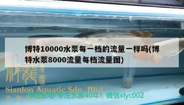 博特10000水泵每一檔的流量一樣嗎(博特水泵8000流量每檔流量圖)