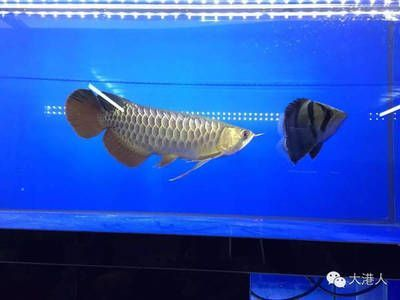 森森過濾桶拆機頭