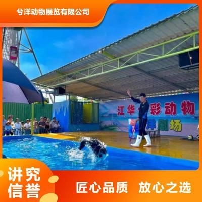 淮南水族館vs祥龍魚場（探討淮南水族館與祥龍魚場之間的差異時，我們可以從多個角度分析）