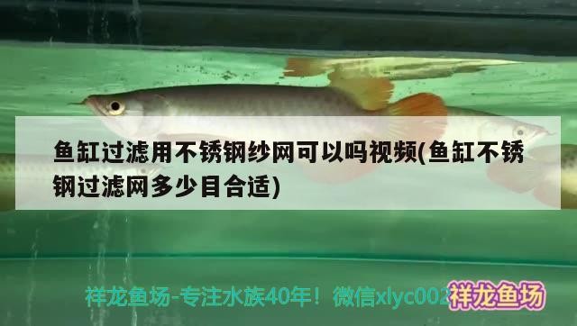 魚缸過濾用不銹鋼紗網可以嗎視頻(魚缸不銹鋼過濾網多少目合適)