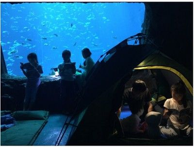 南昌水族館vs祥龍魚場（南昌水族館與祥龍魚場的區別）