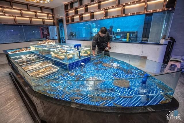 南昌水族館vs祥龍魚場（南昌水族館與祥龍魚場的區別）