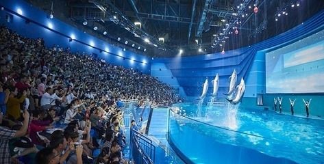 南昌水族館vs祥龍魚場（南昌水族館與祥龍魚場的區別）