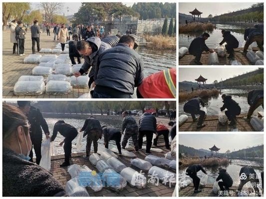 放魚養水保護生態提高什么能力（放魚養水是一種怎樣的體驗？）