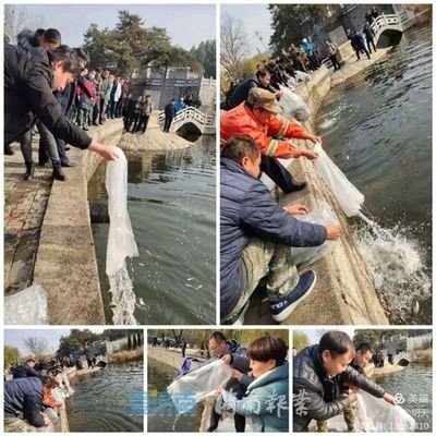 放魚養水保護生態提高什么能力（放魚養水是一種怎樣的體驗？）