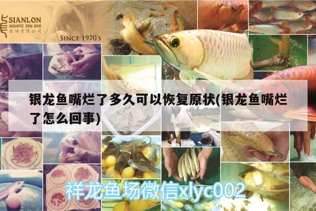 兩米的魚缸要多少錢買的，多久換一次水最佳，兩米的魚缸要多少錢買的