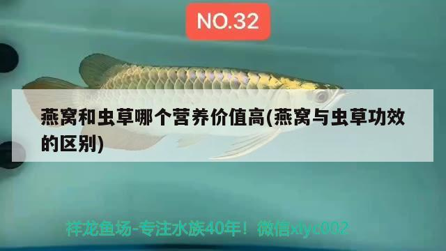 麻城市陵園路花季鮮花禮品店 麻城市陵園路花季鮮花禮品店 全國水族館企業名錄 第2張