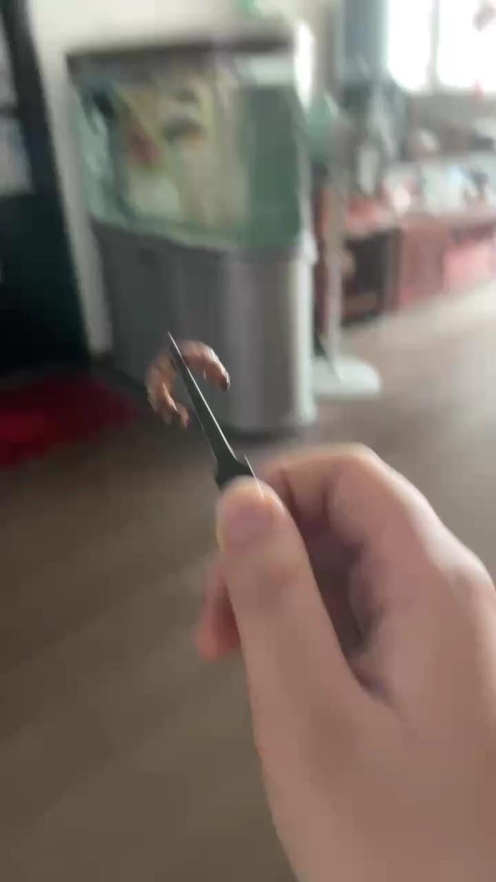 繼續來喂個食