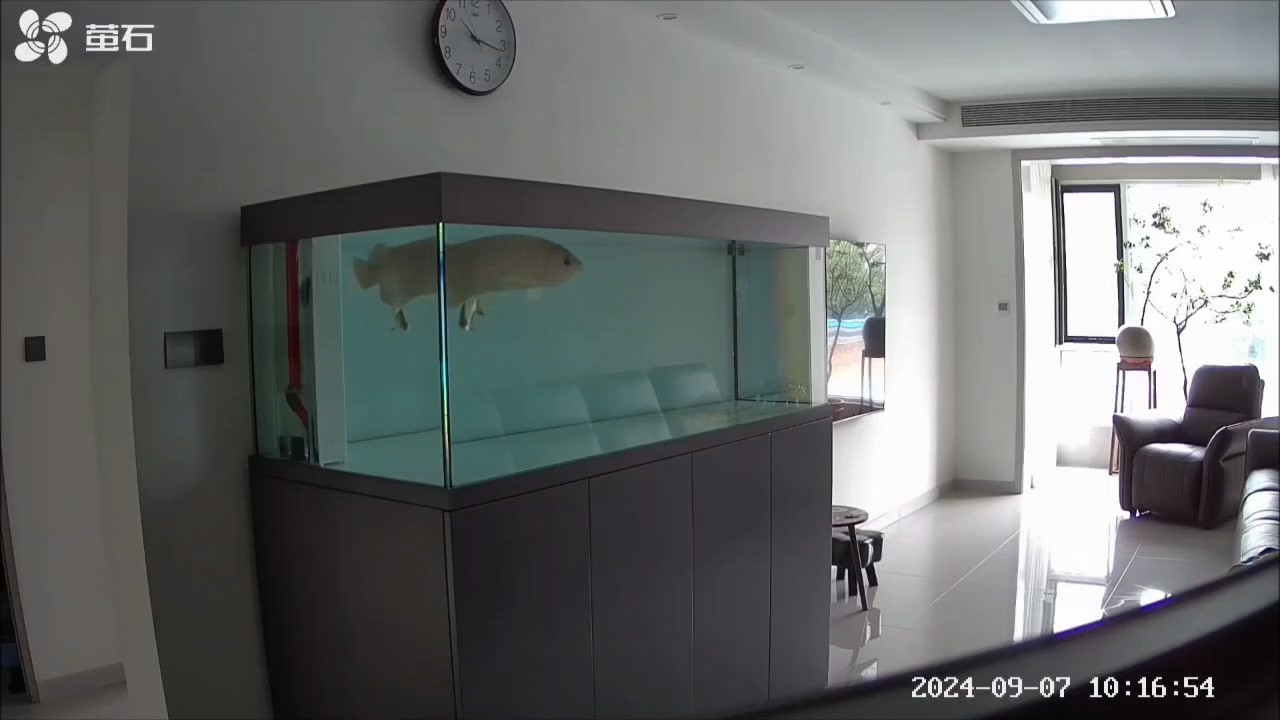 青龍大吉