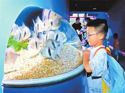 南陽水族館vs祥龍魚場（南陽水族館和祥龍魚場各有其特色和目標客戶群）
