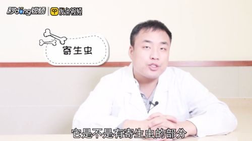 龍魚寄生蟲怎么治好得快呢vs祥龍魚場：如何判斷龍魚是否感染寄生蟲