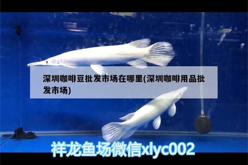 深圳咖啡豆批發市場在哪里(深圳咖啡用品批發市場) 深圳咖啡豆批發市場在哪里(深圳咖啡用品批發市場) 馬來西亞咖啡