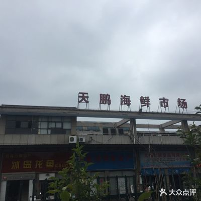無錫龍魚vs祥龍魚場（無錫龍魚和祥龍魚場）