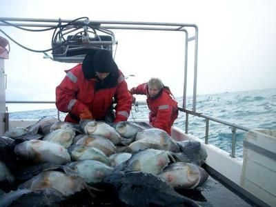 無錫龍魚vs祥龍魚場（無錫龍魚和祥龍魚場）