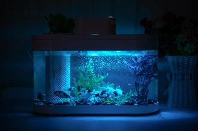 益陽可麗愛魚缸專賣店電話：益陽可麗愛魚缸專賣店，打造水族世界的藝術殿堂