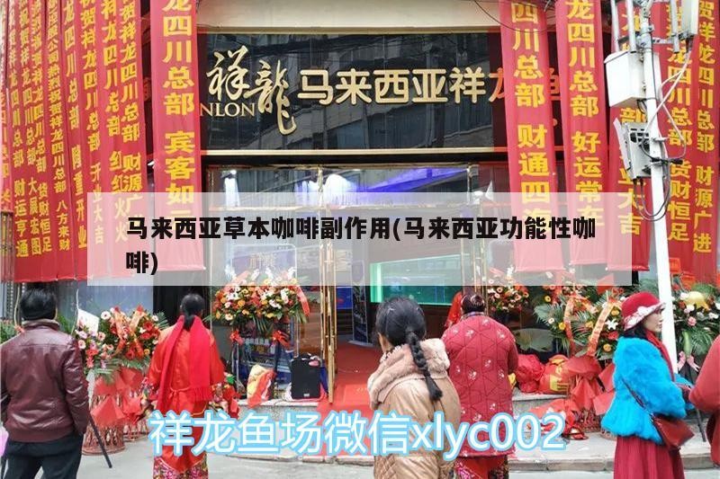 馬來西亞草本咖啡副作用(馬來西亞功能性咖啡)