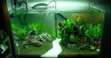 1.5米魚缸簡單造景圖：1.5米魚缸簡單造景圖，無法提供最新的1.5米魚缸簡單造景圖