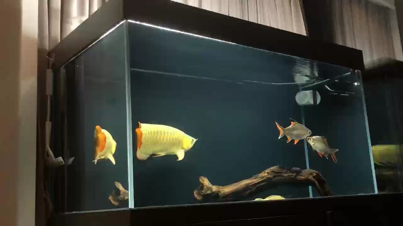 臺風天