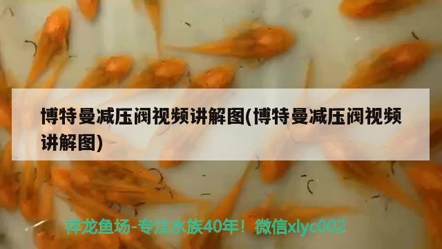 博特曼減壓閥視頻講解圖(博特曼減壓閥視頻講解圖) 博特曼減壓閥視頻講解圖(博特曼減壓閥視頻講解圖) 博特水族