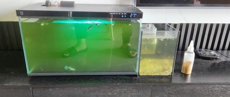 60公分魚缸造景設計方案視頻:60公分魚缸造景教程 魚缸百科 第1張 60公分魚缸造景設計方案視頻:60公分魚缸造景教程 60公分魚缸造景設計方案視頻:60公分魚缸造景教程 魚缸百科 第1張