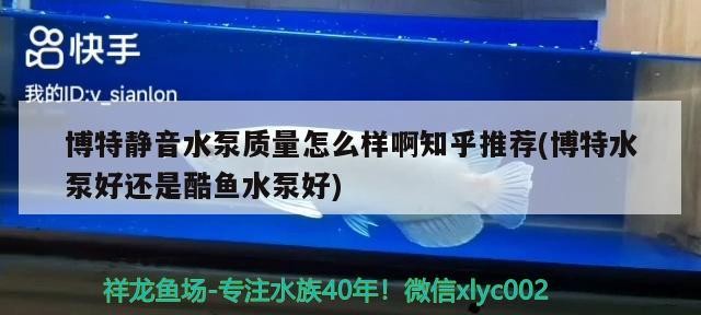 博特靜音水泵質量怎么樣啊知乎推薦(博特水泵好還是酷魚水泵好)
