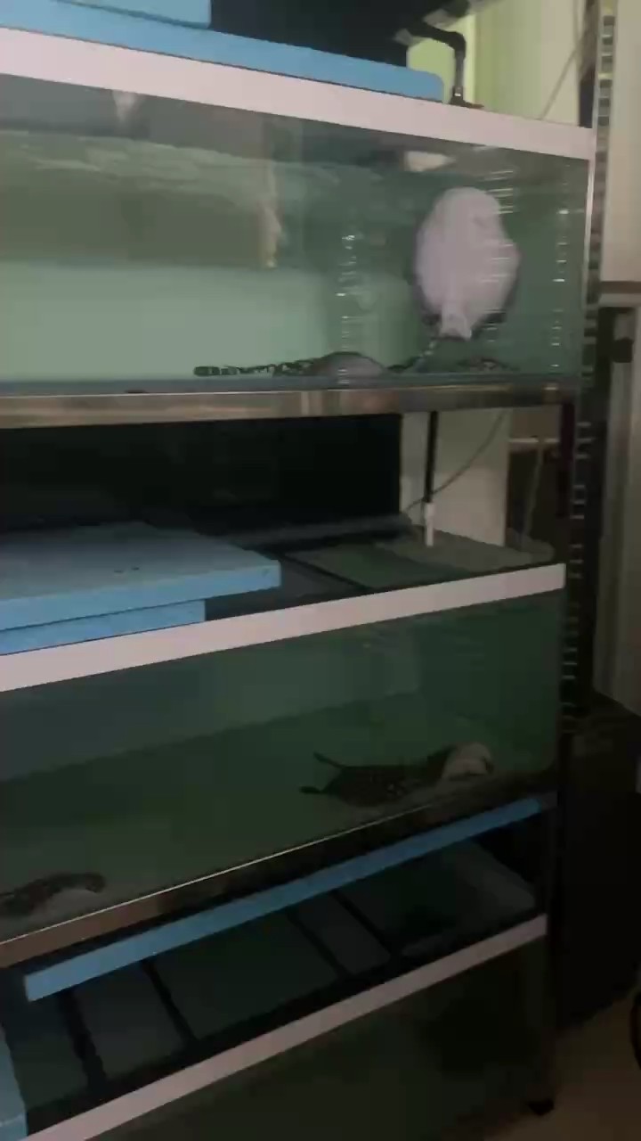 有健康才會有狀態