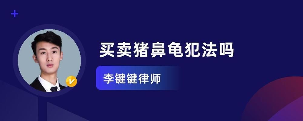 豬鼻龜是國家保護動物嗎可以買賣嗎視頻：豬鼻龜是國家二級保護動物嗎