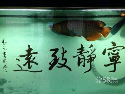 淮南魚缸售后維護電話地址及查詢的相關(guān)信息，淮南魚缸售后維護電話和地址查詢服務(wù)旨在幫助用戶找到合適的信息