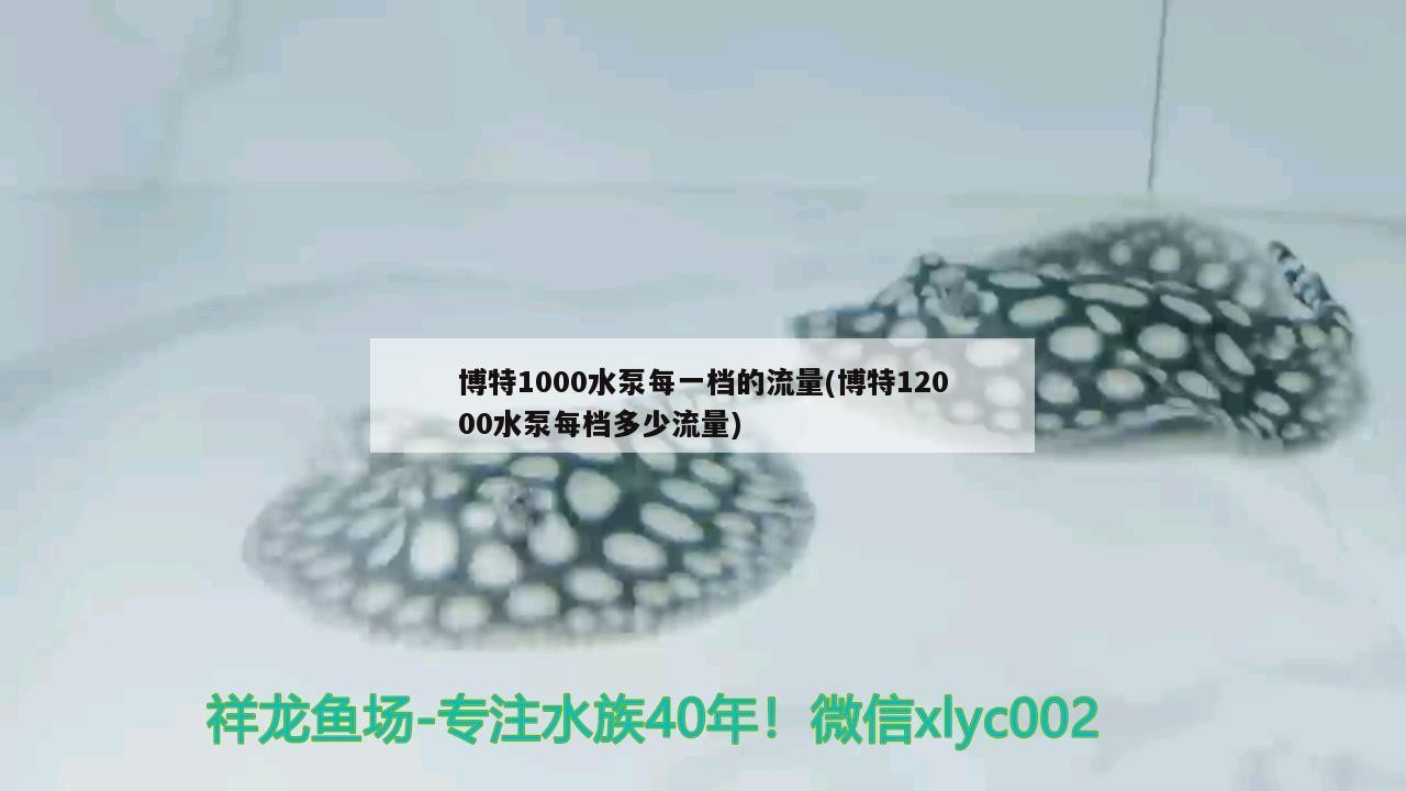 博特1000水泵每一檔的流量(博特12000水泵每檔多少流量)