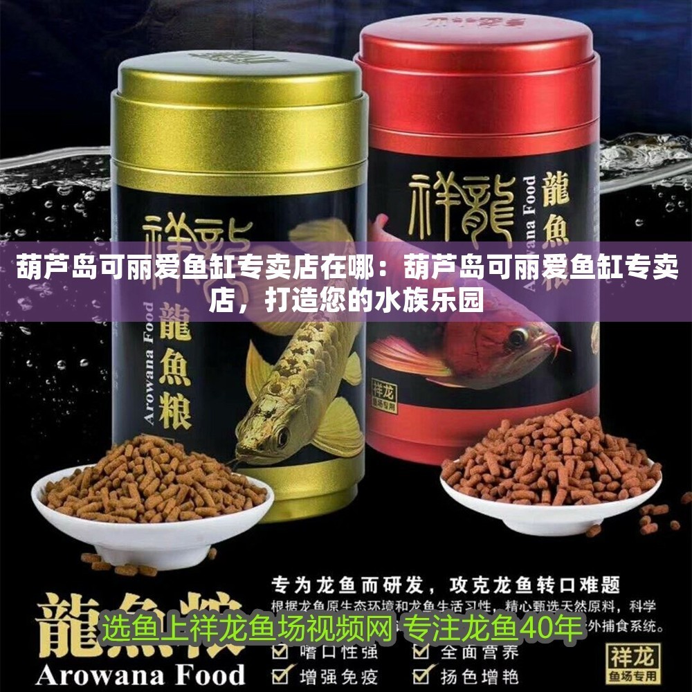 葫蘆島可麗愛魚缸專賣店在哪：葫蘆島可麗愛魚缸專賣店，打造您的水族樂園
