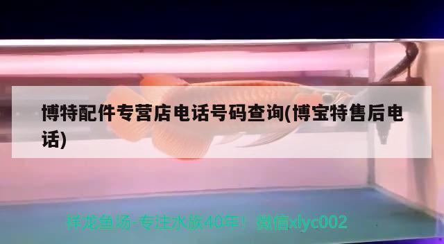 博特配件專營店電話號碼查詢(博寶特售后電話) 博特配件專營店電話號碼查詢(博寶特售后電話) 博特水族
